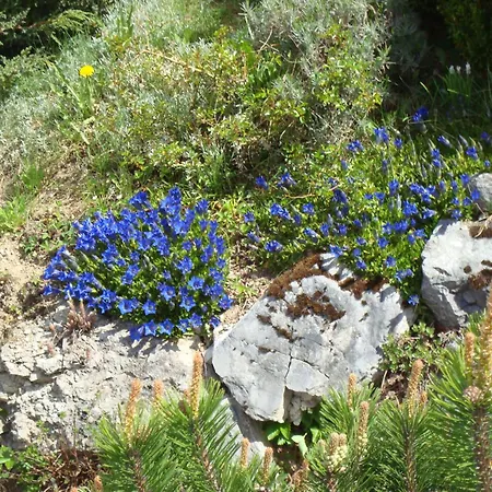 아파트 Apartmenthaus Kammblick *