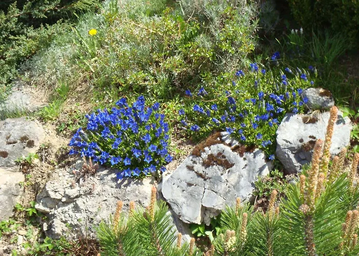 아파트 Apartmenthaus Kammblick *